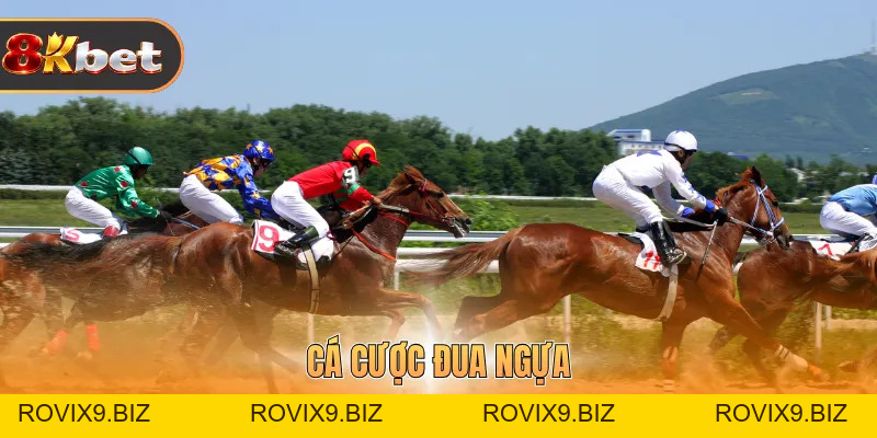 Cá Cược Đua Ngựa - Hình Thức Giải Trí Hấp Dẫn Tại 8Kbet - rovix9